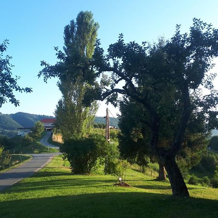 Maxl Villa Maltschach Екстериор снимка