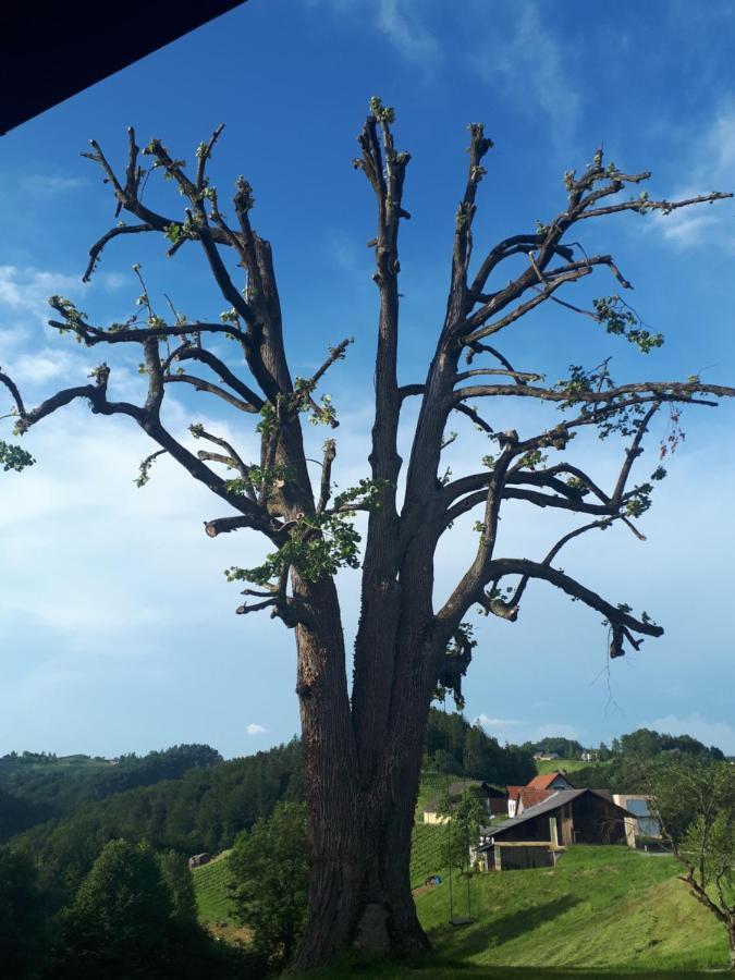 Maxl Villa Maltschach Екстериор снимка